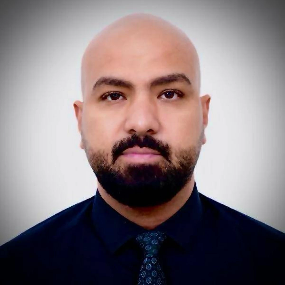 عمرو بكير