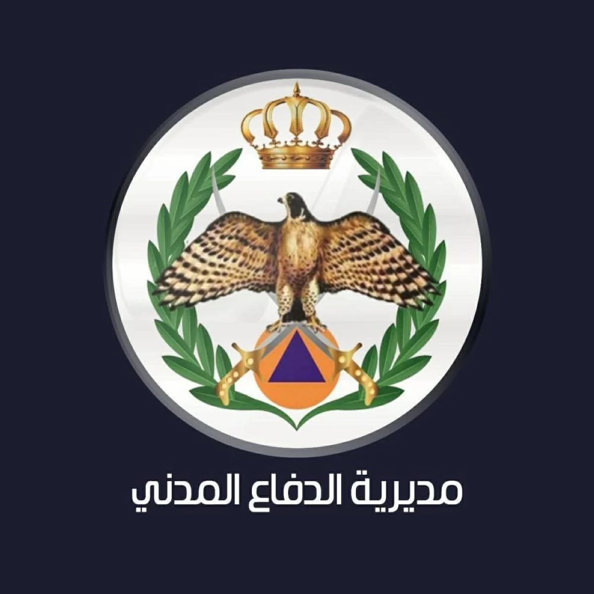 الدفاع المدني الأردني يواصل البحث عن 3 أشخاص جرفتهم السيول