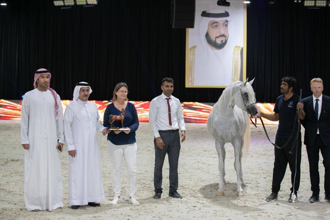 خيول «الأريام» تتألق في بطولة العرب لمربي الخيل العربية