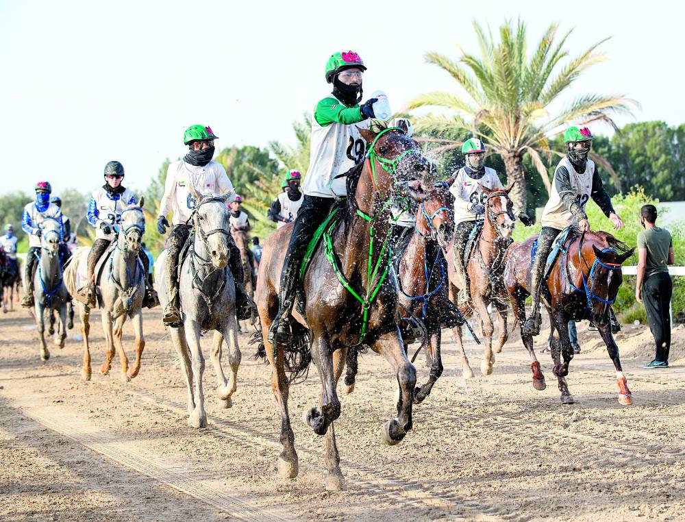 كأس المدربين يختتم موسم «دبي للقدرة»