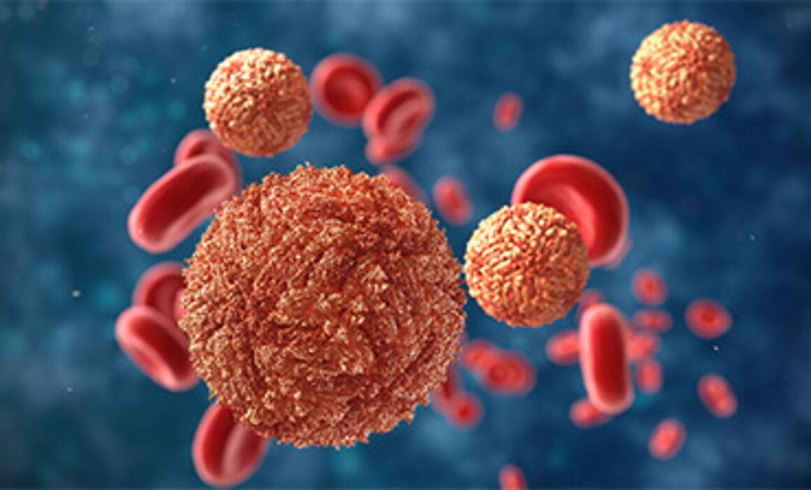 Image:بسبب التغيّر المناخي.. «الصحة العالمية» تحذّر من تفشي فيروس زيكا