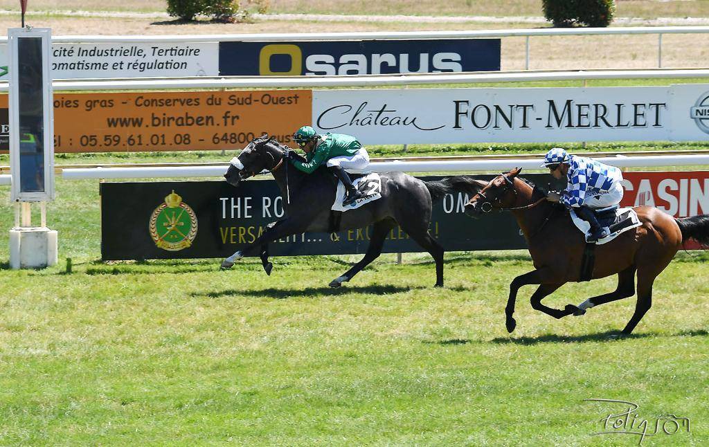 Image:«جمانة» و«نهام» يتصدران ترشيحات كأس الوثبة في فرنسا