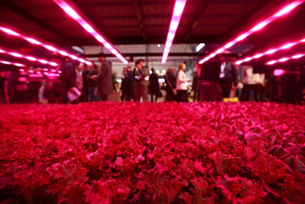 Image:القطاع الصناعي ينتظر بفارغ الصبر ثورة الذكاء الاصطناعي