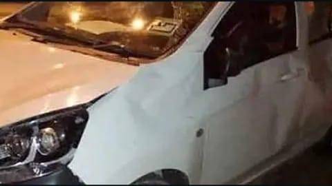 ماليزيا.. عملية دهس «انتقامية» بقيادة الأفيال