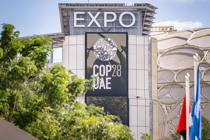 «إرث من أرض زايد».. مركز التعليم الأخضر ينبض بالاستدامة في «COP28»