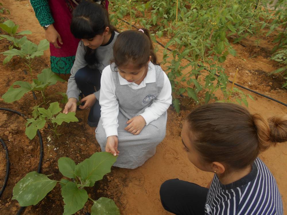 الوعي البيئي في الإمارات.. مسؤولية مجتمعية تستبق التحديات المناخية الوعي البيئي في الإمارات.. مسؤولية مجتمعية تستبق التحديات المناخية
