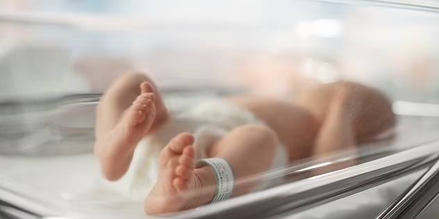 فقر دم الحوامل يصيب المواليد بعيوب خلقية في القلب فقر دم الحوامل يصيب المواليد بعيوب خلقية في القلب