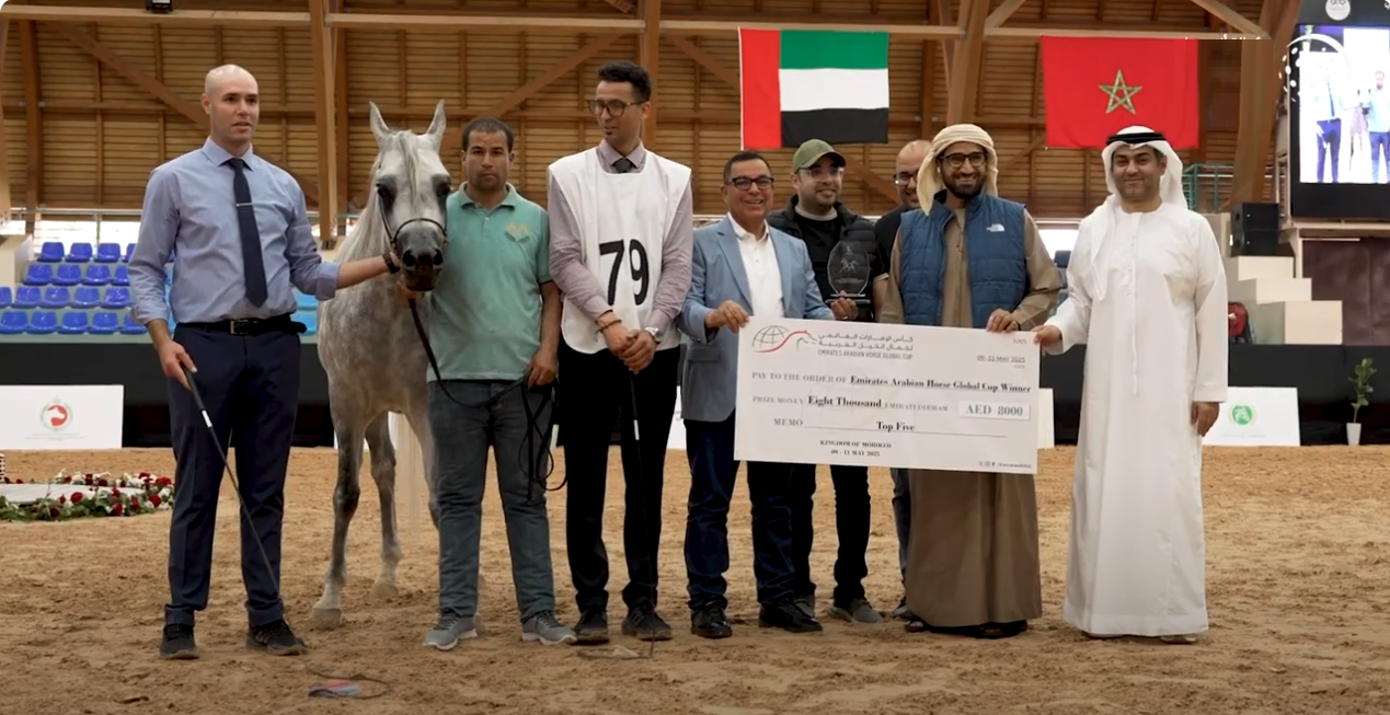 كأس الإمارات العالمي لجمال الخيل تواصل منافساتها في المغرب