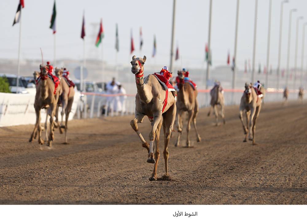 «كحال» تهدي هجن الرئاسة كأس الإيذاع في «ختامي الوثبة»