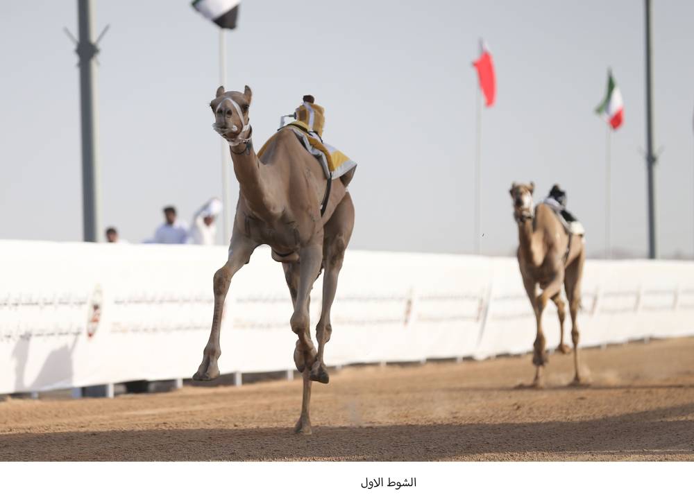 «صبا» و«ممنوع» يتوجان برموز الثنايا في «ختامي الوثبة»