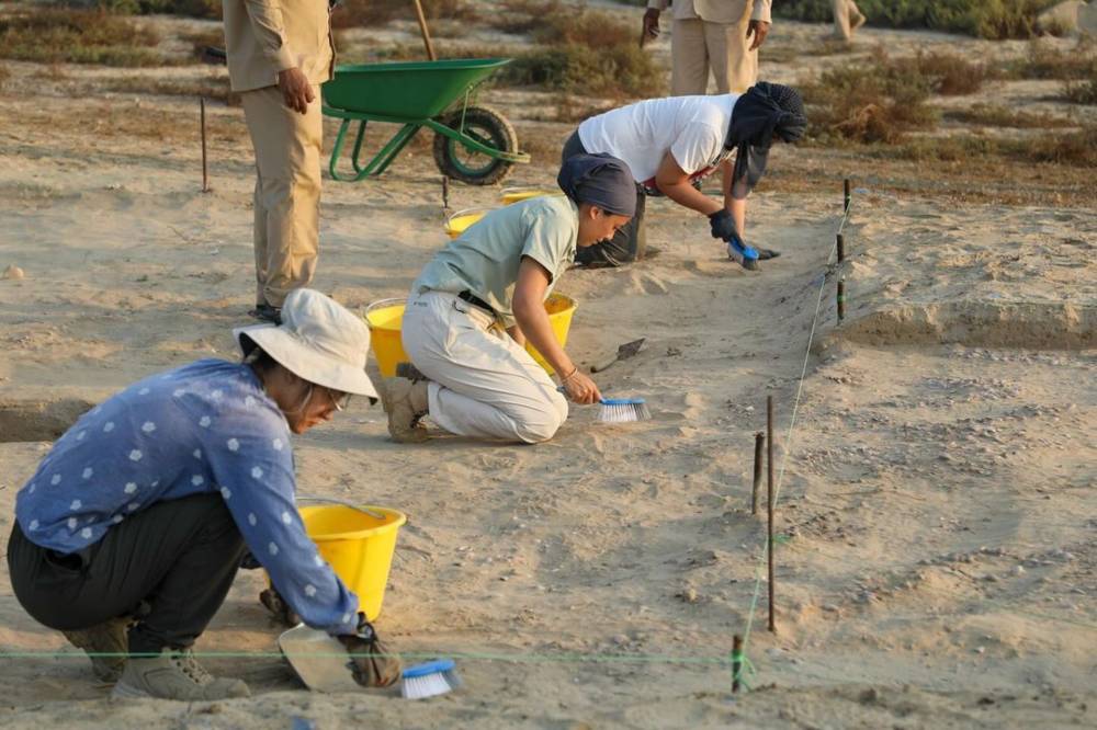 آثار «الغلة» في أم القيوين تؤكد عمق الاستيطان البشري في المنطقة آثار «الغلة» في أم القيوين تؤكد عمق الاستيطان البشري في المنطقة