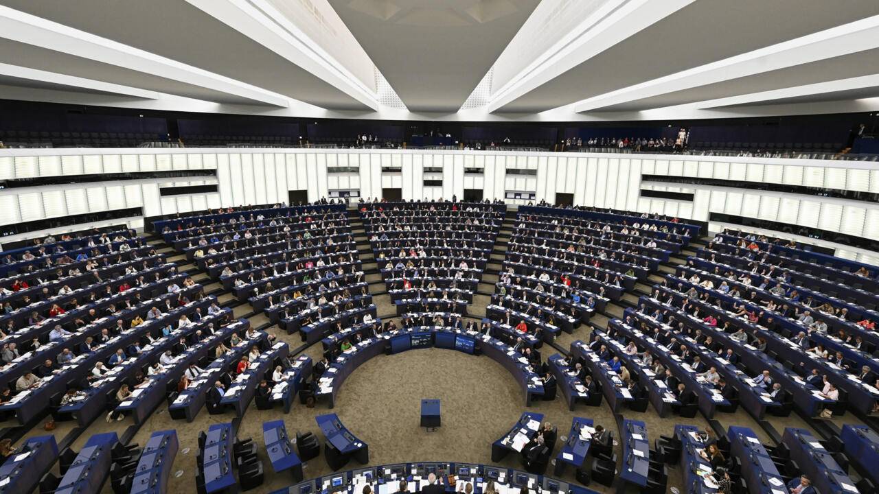 البرلمان الأوروبي يقرّ نصّاً تشريعياً لحماية الكلاب والقطط البرلمان الأوروبي يقرّ نصّاً تشريعياً لحماية الكلاب والقطط