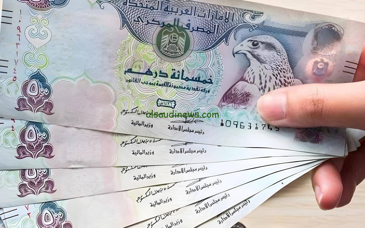 ارتفاع مفاجئ لسعر الدرهم الإماراتي مقابل الجنيه المصري اليوم الاثنين ارتفاع مفاجئ لسعر الدرهم الإماراتي مقابل الجنيه المصري اليوم الاثنين