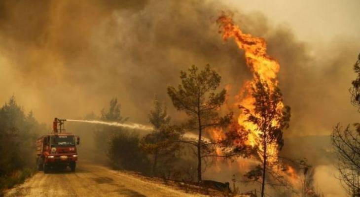 قتيلان في إسبانيا بحريق في غمرة موجة الحر قتيلان في إسبانيا بحريق في غمرة موجة الحر