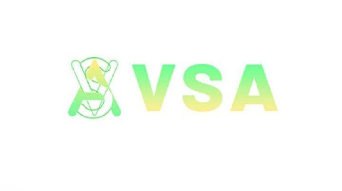 منصة VSA وعدت المصريين بالربح وسرقتهم في صمت منصة VSA وعدت المصريين بالربح وسرقتهم في صمت