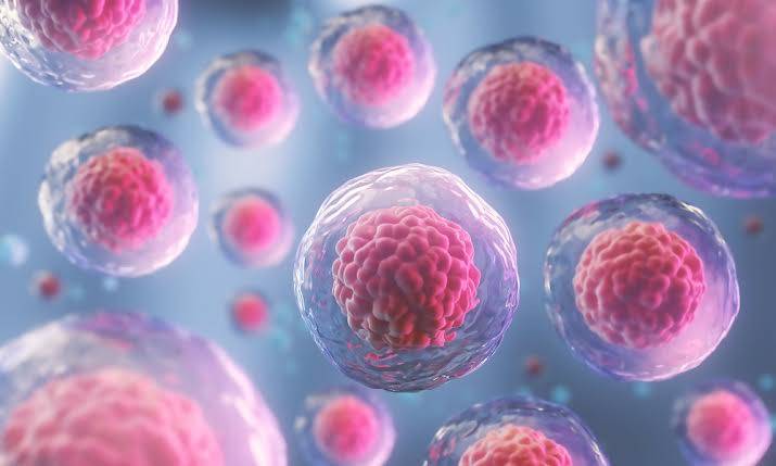 تقنية مبتكرة لزرع خلايا جذعية تفتح آفاقاً جديدة في علاج أمراض الكبد