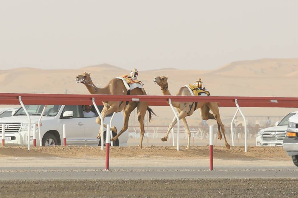 إثارة قوية خلال المنافسات