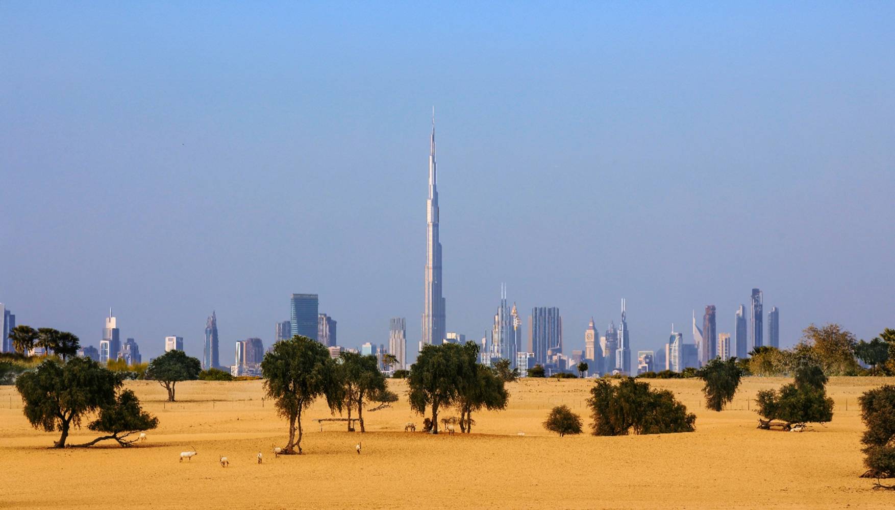 بتكلفة 100 مليار درهم.. «إعمار» تطلق «دبي مانشنز» في دبي 