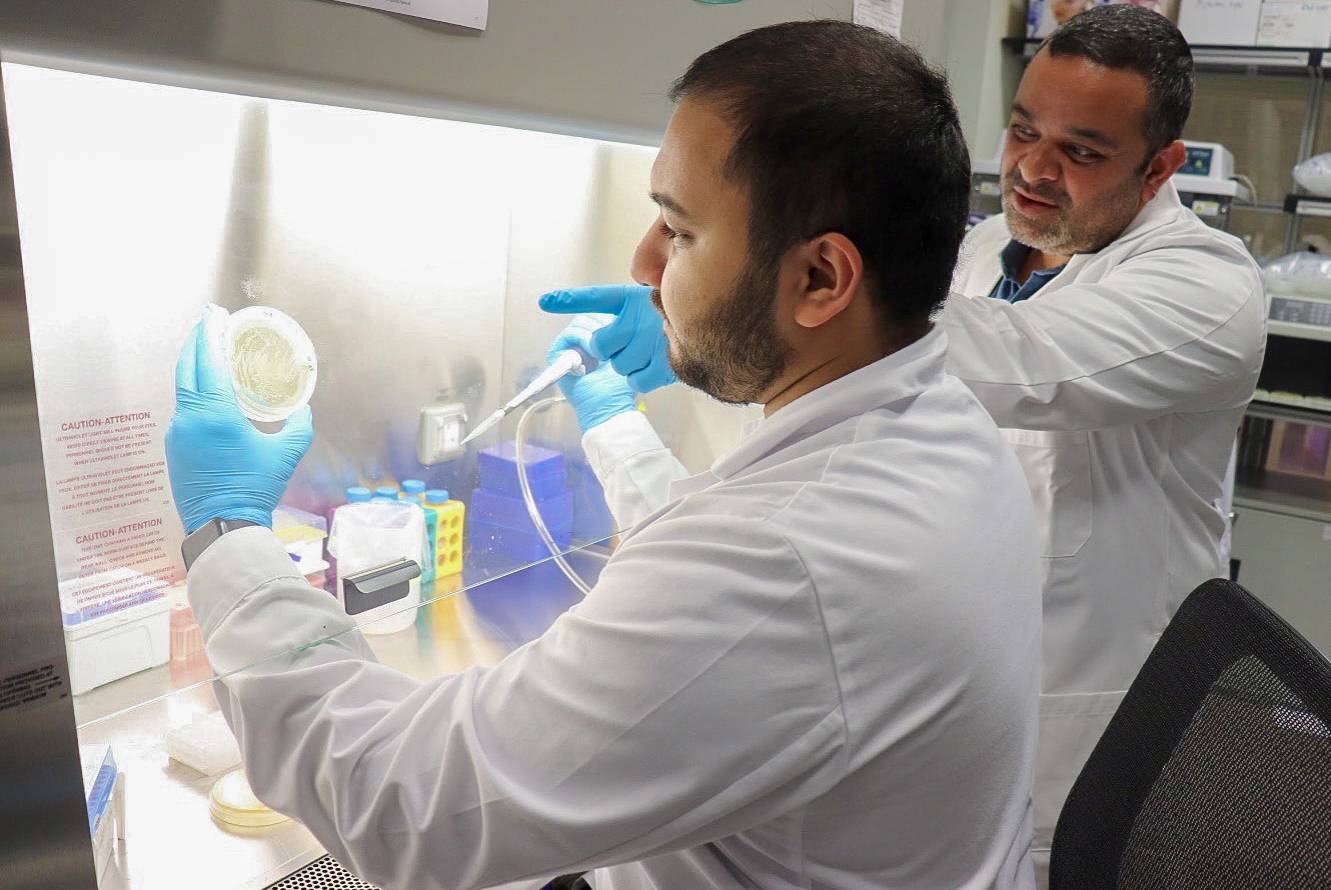 باحثون بجامعة نيويورك أبوظبي يكشفون ارتباط بكتيريا الفم بالسمنة 