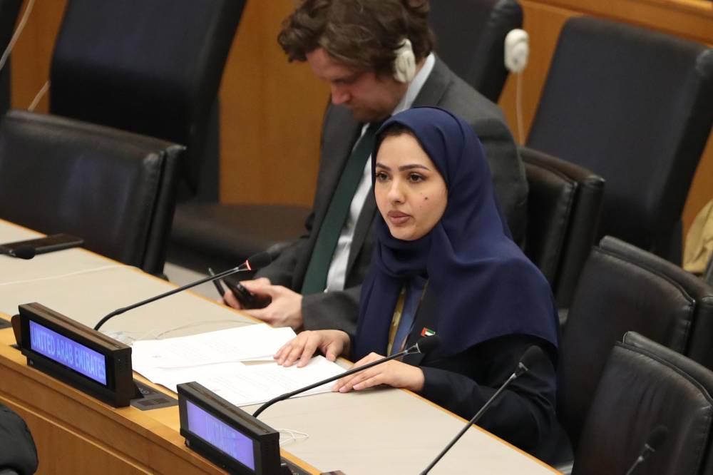 الإمارات تؤكد ضرورة التركيز على التمثيل الإقليمي في مجلس الأمن