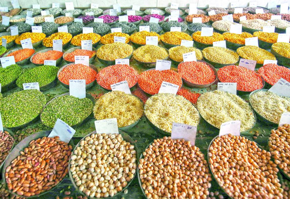 الفاو: أسعار الغذاء العالمية واصلت التراجع في يناير 