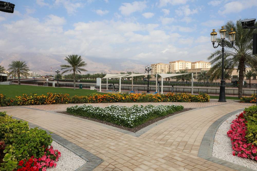 دبا الحصن تتحسن