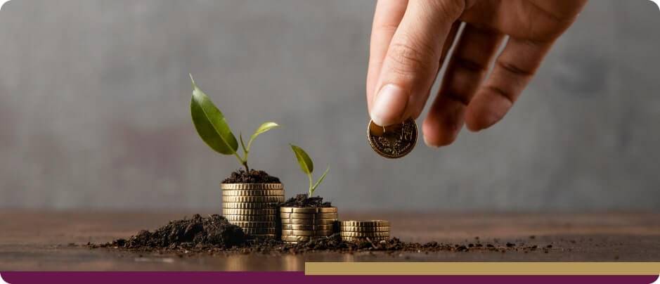 الإمارات ترسخ نموذجاً متقدماً لادخار الأفراد 