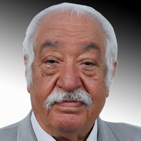 أحمد الجمال