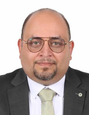 محمد حلمي وكيل ضريبي 0