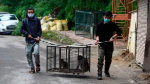 مدينة سياحية هندية