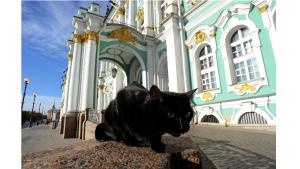 قطط متحف «إرميتاج» تحصل على تركة طبيب فرنسي