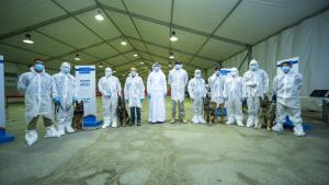 دراسة : الكشف عن "كوفيد 19" باستخدام حاسة الشم لدى الكلاب الجمركية