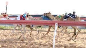 من منافسات السباق