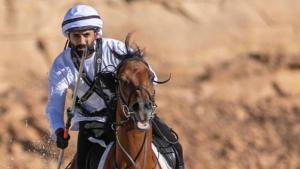 من منافسات التقاط الأوتاد