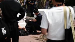 نخلة سقطت على رأسه