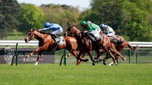 «كواليفيكار» لجودولفين ينال بطاقة مهرجان النصر