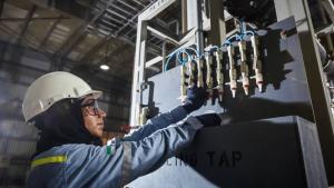 تشكل هذه الاتفاقيات الأساس لمبادرة ستدعم نمو هذه الشركات