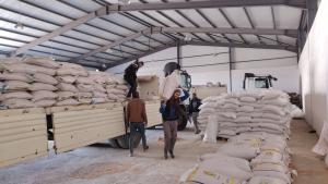 الديوان ‌المهني للحبوب، مشتري ⁠الحبوب الحكومي في الجزائر