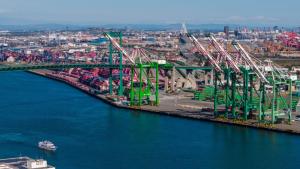 الرسوم الجمركية تربك التجارة العالمية