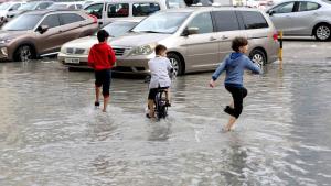 الأمطار في الشارقة