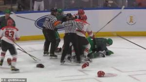 جانب من الشجار