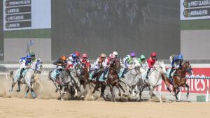 الشوط الأول .. كأس دبي العالمي (( محمد شعلان ))