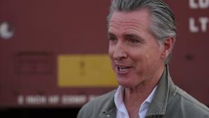 جافين نيوسوم