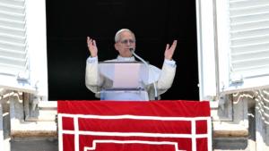 البابا لاوون الرابع عشر