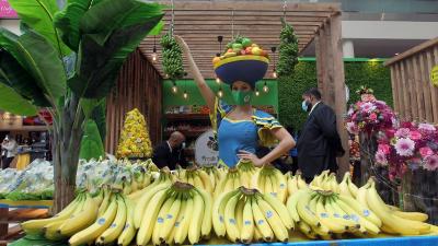 معرض جلفود 2021 (تصوير: يوسف الأمير)