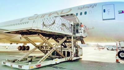 الاتحاد للشحن الجوي