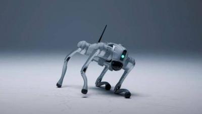 «لونا» الكلب الآلي