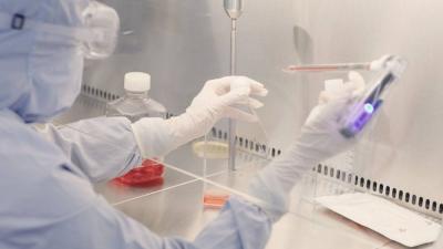 «صحة أبوظبي» توفر علاجاً بتقنية التحرير الجيني لمرضى فقر الدم المنجلي والثلاسيميا