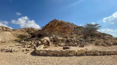 الفاية يتقدم من الشارقة إلى قائمة اليونيسكو