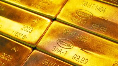 سبائك من الذهب